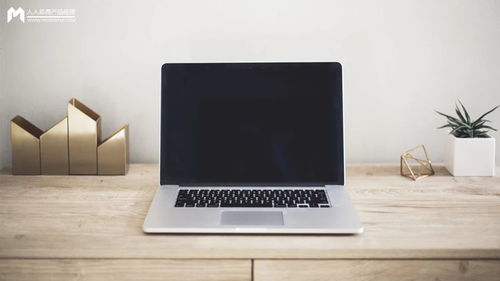 模型產品市場規模計算與銷售策略分析